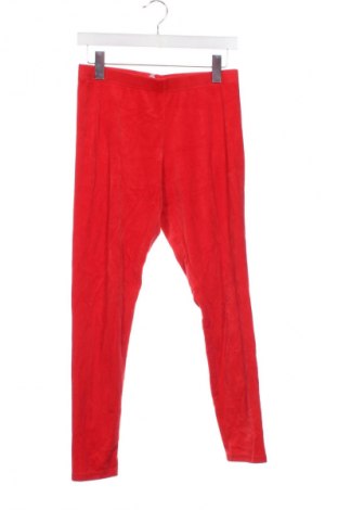 Dziecięce legginsy No Boundaries, Rozmiar 12-13y/ 158-164 cm, Kolor Czerwony, Cena 27,99 zł