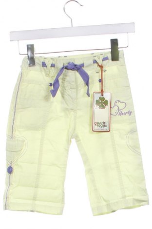 Pantaloni pentru copii, Mărime 3-4y/ 104-110 cm, Culoare Verde, Preț 51,99 Lei