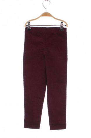 Pantaloni pentru copii Sinsay, Mărime 3-4y/ 104-110 cm, Culoare Mov, Preț 24,99 Lei