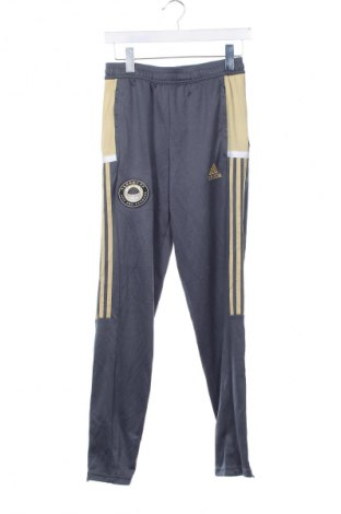 Detské tepláky Adidas, Veľkosť 13-14y/ 164-168 cm, Farba Sivá, Cena  20,95 €