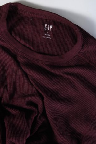 Herren Shirt Gap, Größe L, Farbe Lila, Preis 9,99 €