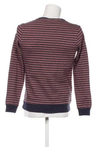 Herren Shirt Salsa, Größe M, Farbe Mehrfarbig, Preis € 8,49