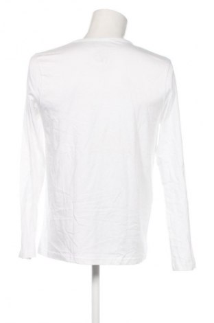 Herren Shirt Watson's, Größe L, Farbe Weiß, Preis 6,99 €