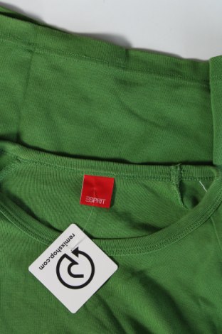 Tricou de bărbați Esprit, Mărime M, Culoare Verde, Preț 23,99 Lei