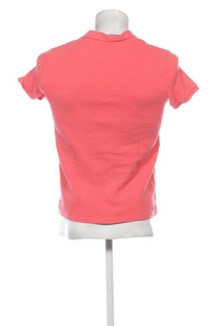 Herren T-Shirt House, Größe S, Farbe Rosa, Preis € 4,99