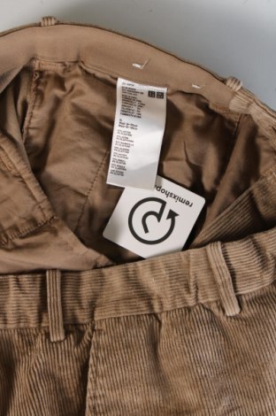 Herren Cordhose Uniqlo, Größe XL, Farbe Beige, Preis 17,49 €