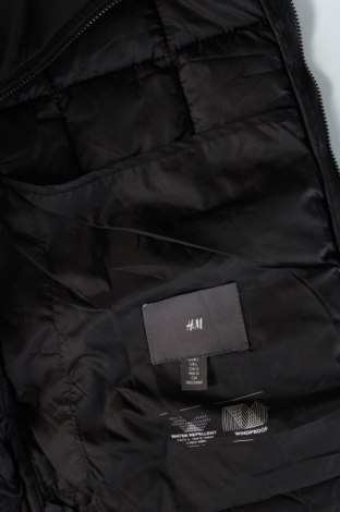 Herrenweste H&M, Größe L, Farbe Schwarz, Preis € 18,99