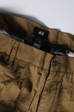 Herren Shorts H&M, Größe XL, Farbe Grün, Preis € 10,49