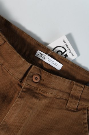 Herren Shorts Zara, Größe M, Farbe Grün, Preis € 6,49