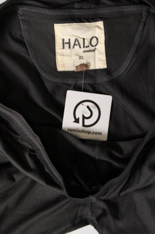 Ανδρικό κολάν HALO, Μέγεθος XL, Χρώμα Γκρί, Τιμή 17,99 €