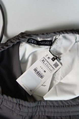 Herrenhose Zara, Größe XL, Farbe Grau, Preis € 19,49