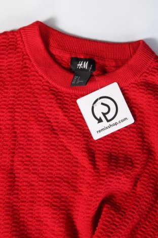 Herrenpullover H&M, Größe S, Farbe Rot, Preis € 12,99