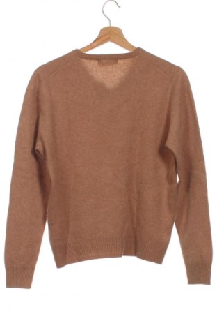 Herrenpullover Zara Man, Größe XS, Farbe Braun, Preis 36,05 €