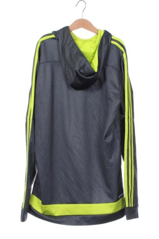 Męska bluza Adidas, Rozmiar S, Kolor Szary, Cena 114,99 zł