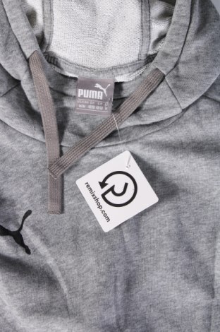 Herren Sweatshirt PUMA, Größe M, Farbe Grau, Preis 32,99 €