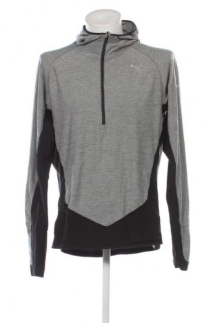 Herren Sweatshirt PUMA, Größe L, Farbe Grau, Preis € 32,99