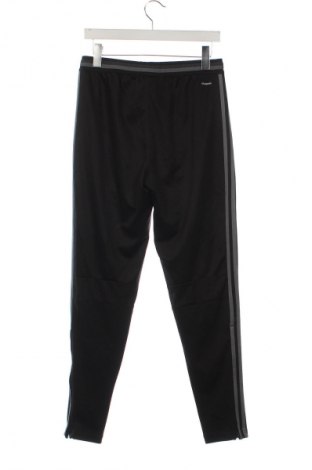 Pantaloni trening de bărbați Adidas, Mărime S, Culoare Negru, Preț 150,99 Lei