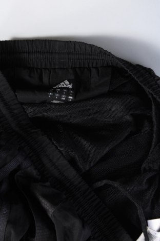 Herren Sporthose Adidas, Größe L, Farbe Schwarz, Preis € 32,49