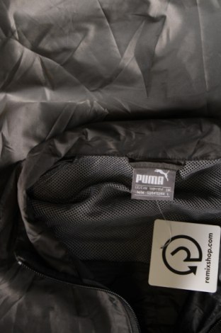 Pánská sportovní bunda  PUMA, Velikost XL, Barva Šedá, Cena  989,00 Kč