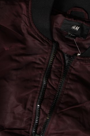 Herrenjacke H&M, Größe M, Farbe Lila, Preis € 9,99