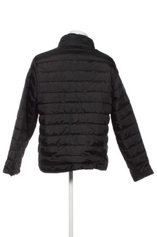 Herrenjacke Identic, Größe XL, Farbe Schwarz, Preis 28,99 €