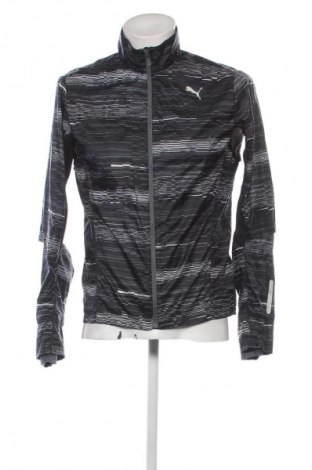 Herrenjacke PUMA, Größe L, Farbe Mehrfarbig, Preis 43,49 €