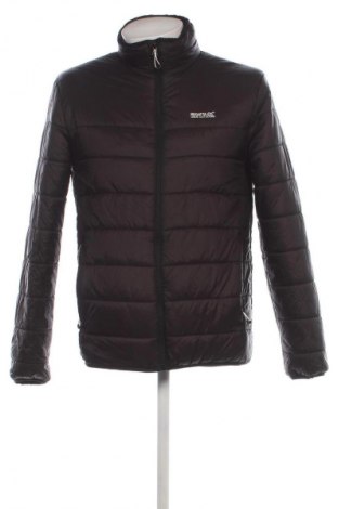 Herrenjacke Regatta, Größe M, Farbe Schwarz, Preis 29,99 €