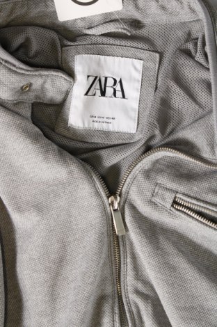 Herrenjacke Zara, Größe M, Farbe Grau, Preis € 11,99