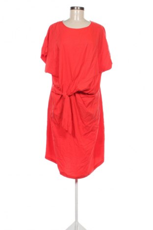 Kleid Bon'a Parte, Größe XXL, Farbe Rot, Preis 55,00 €