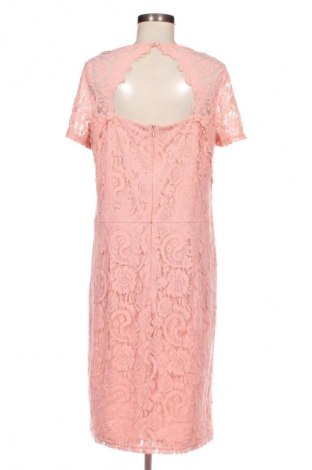 Kleid Dorothy Perkins, Größe XL, Farbe Rosa, Preis € 8,49