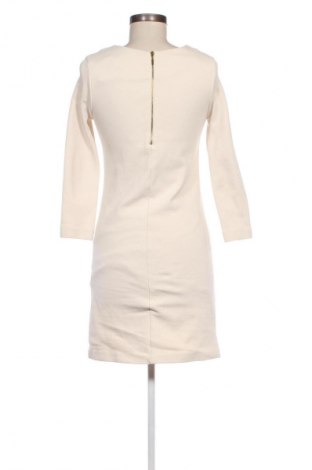 Kleid Mango, Größe S, Farbe Beige, Preis € 10,49