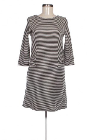 Kleid Max&Co., Größe M, Farbe Mehrfarbig, Preis € 23,49