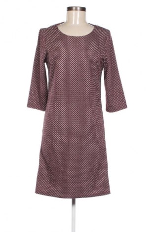 Kleid Miss Etam, Größe S, Farbe Mehrfarbig, Preis 10,49 €