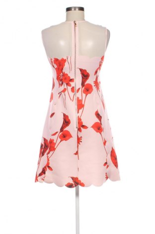 Rochie Ted Baker, Mărime S, Culoare Multicolor, Preț 728,99 Lei