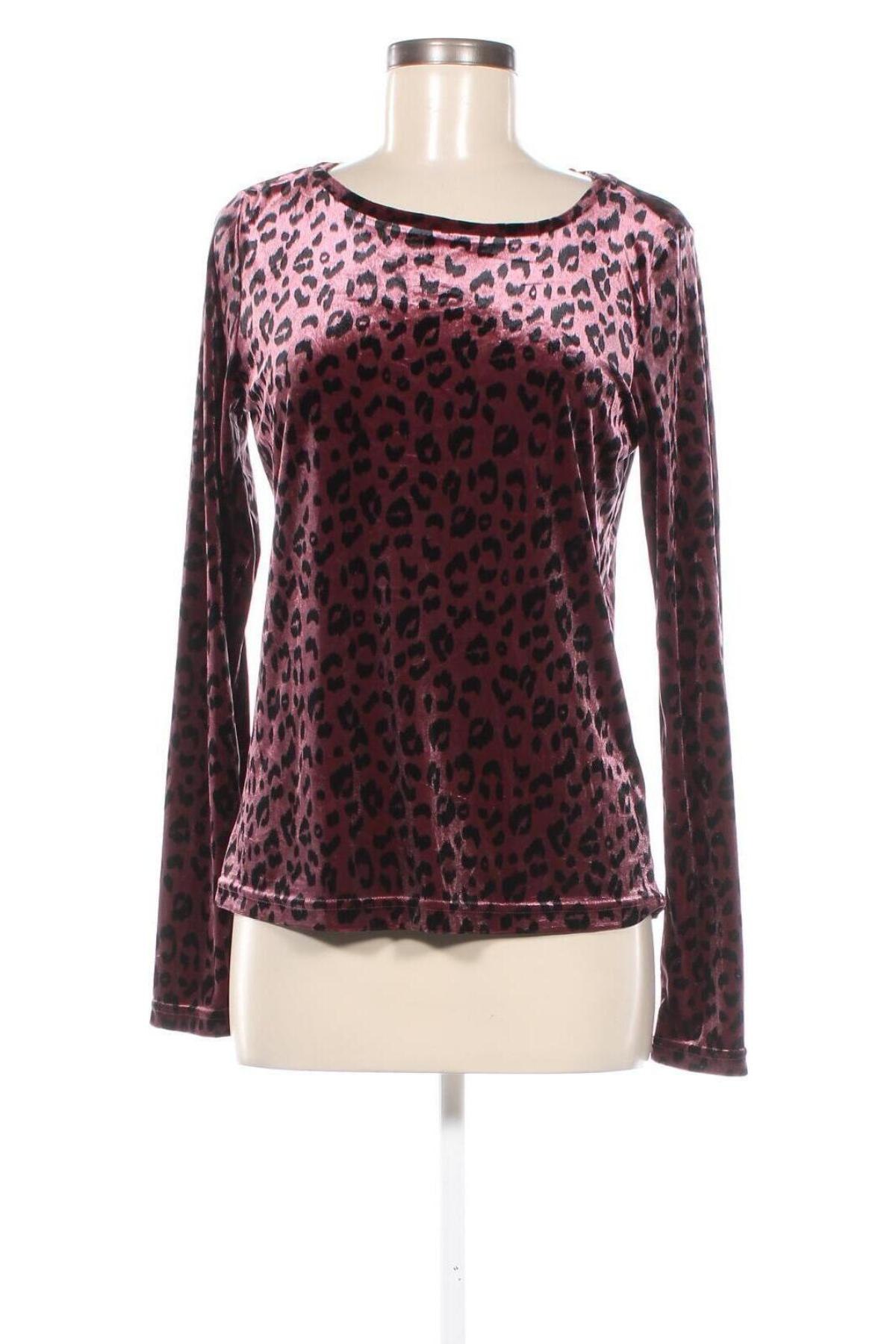 Damen Shirt Costes, Größe S, Farbe Mehrfarbig, Preis 23,99 €