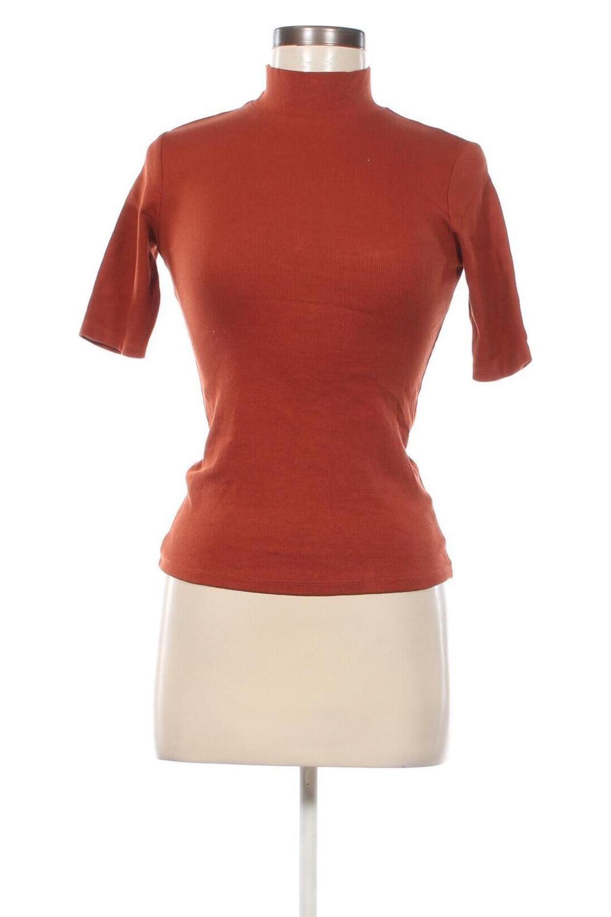 Damen Shirt Costes, Größe XS, Farbe Braun, Preis € 12,99