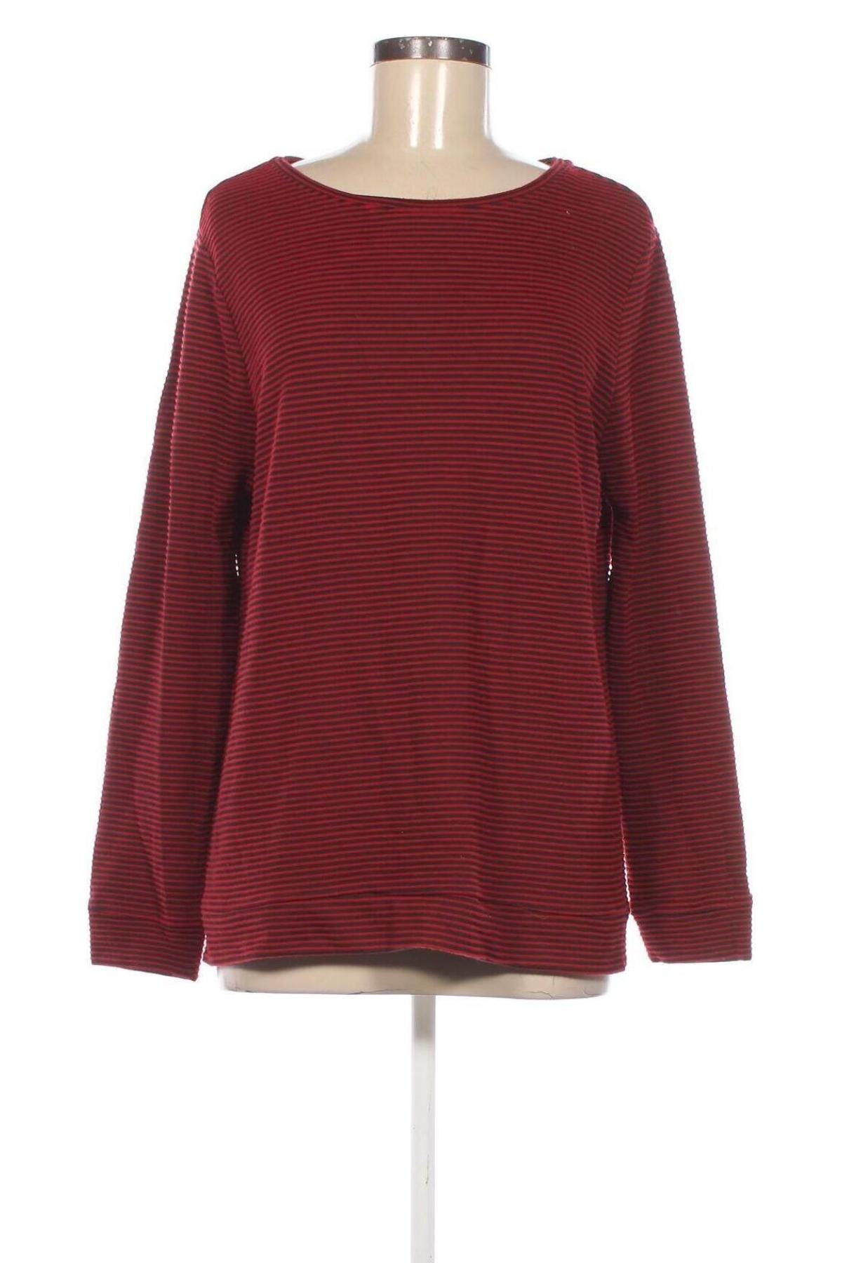 Damen Shirt Esmara, Größe XL, Farbe Mehrfarbig, Preis € 4,99