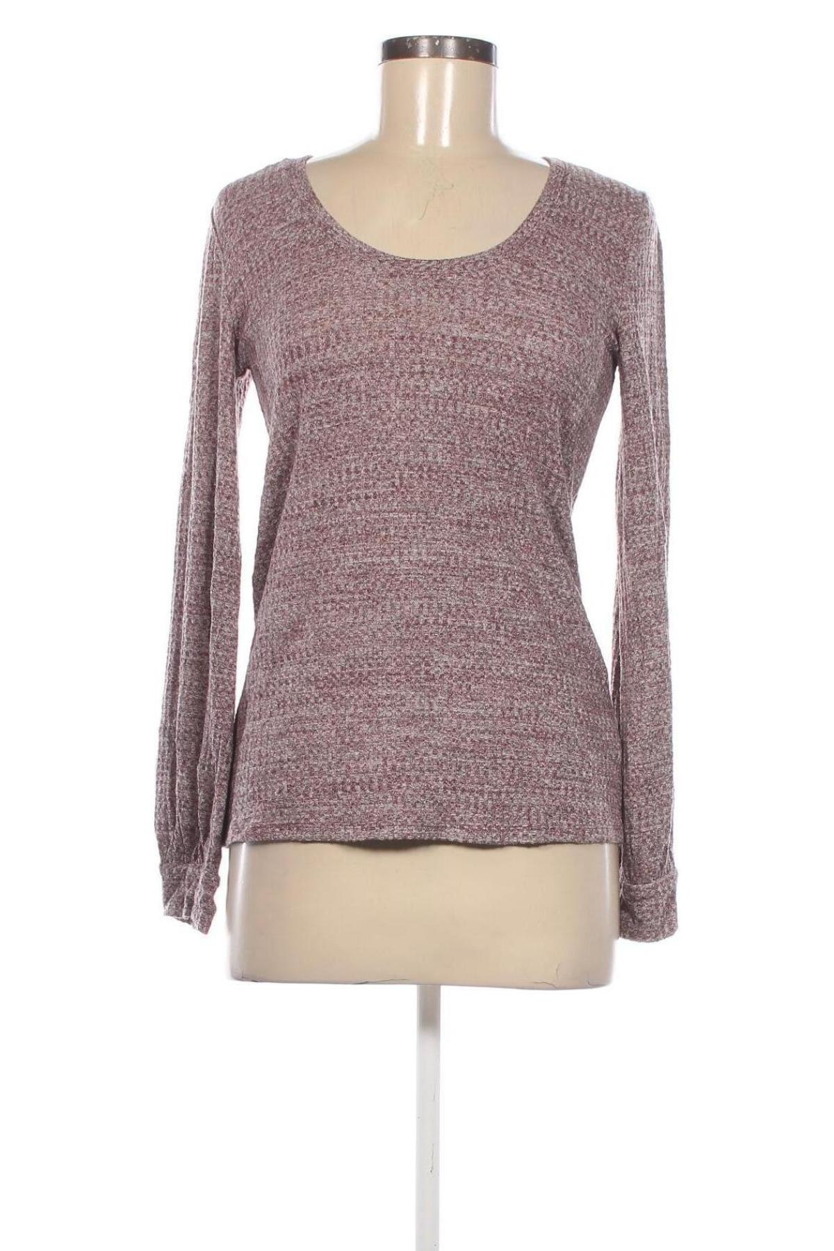 Damen Shirt Express, Größe S, Farbe Mehrfarbig, Preis € 4,49