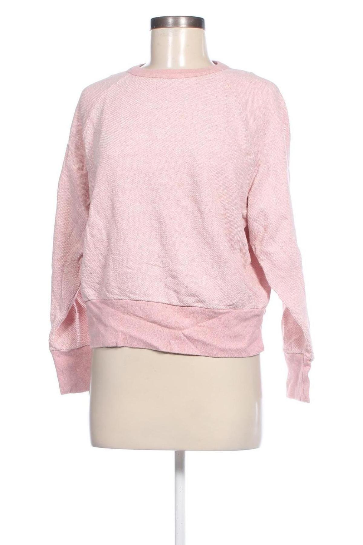 Damen Shirt Gap, Größe M, Farbe Mehrfarbig, Preis 4,99 €