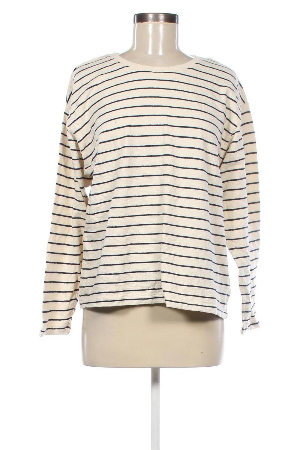 Damen Shirt Tex, Größe L, Farbe Mehrfarbig, Preis € 5,99