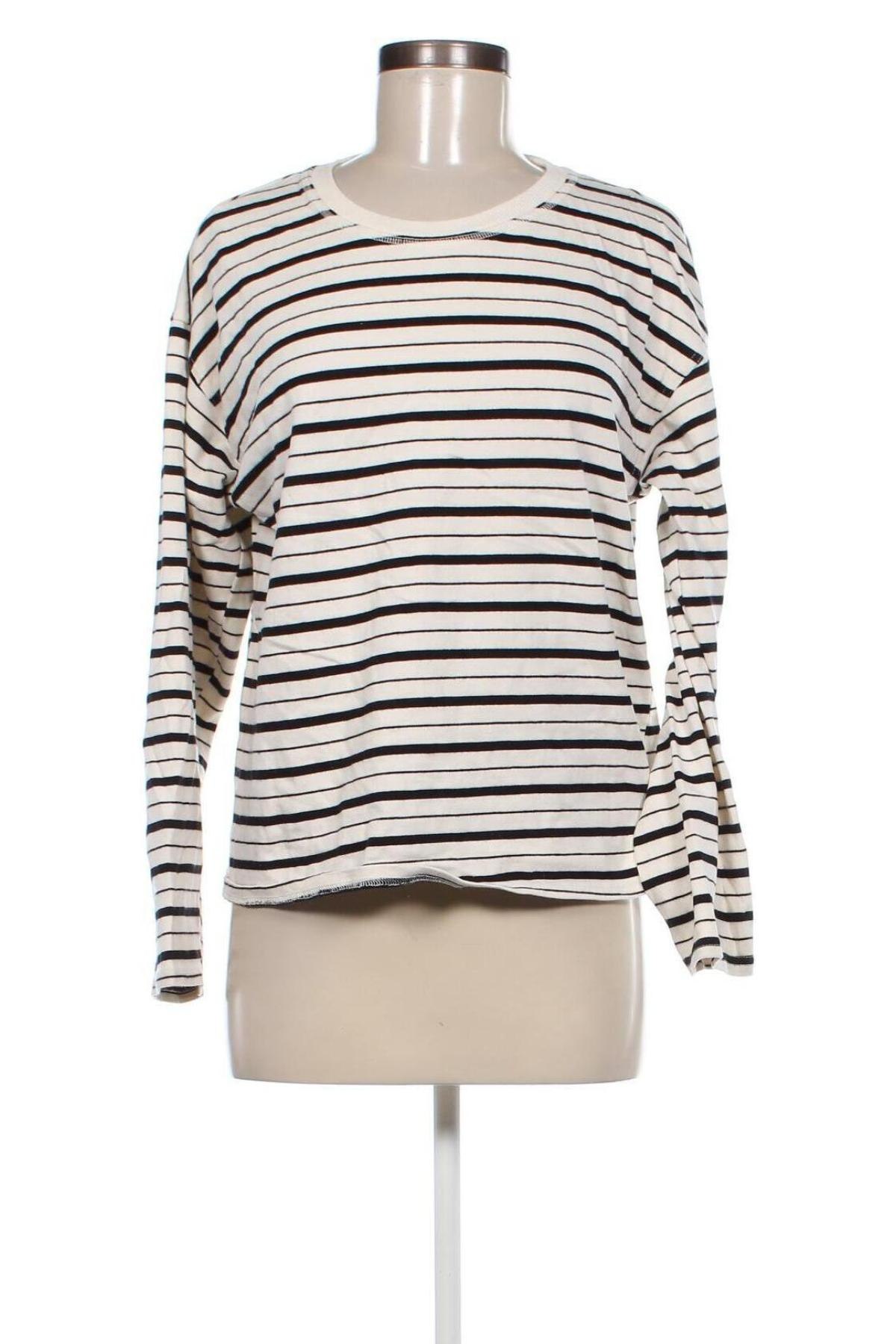 Damen Shirt Zara, Größe M, Farbe Mehrfarbig, Preis € 7,99