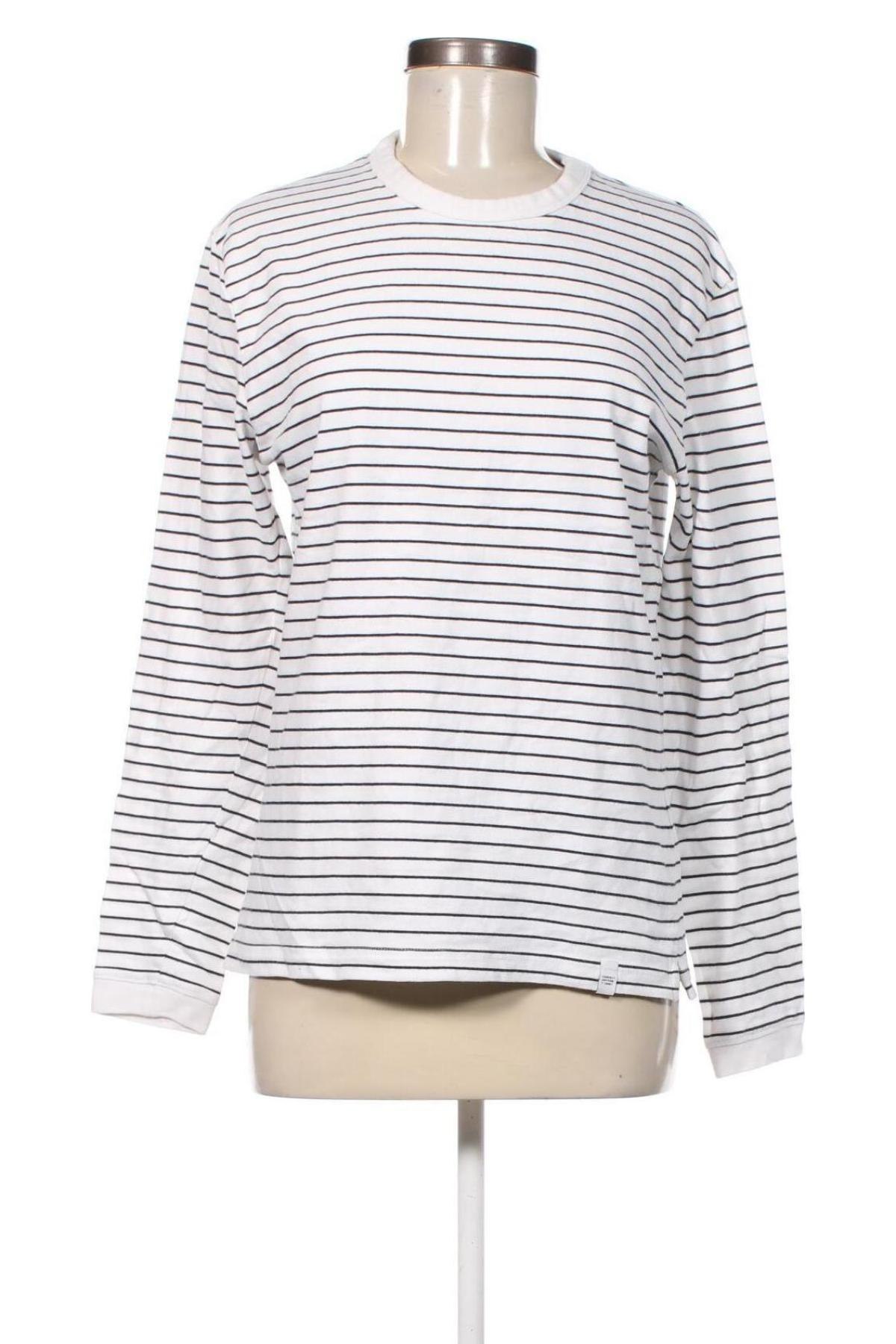 Damen Shirt Zara, Größe S, Farbe Mehrfarbig, Preis 6,99 €