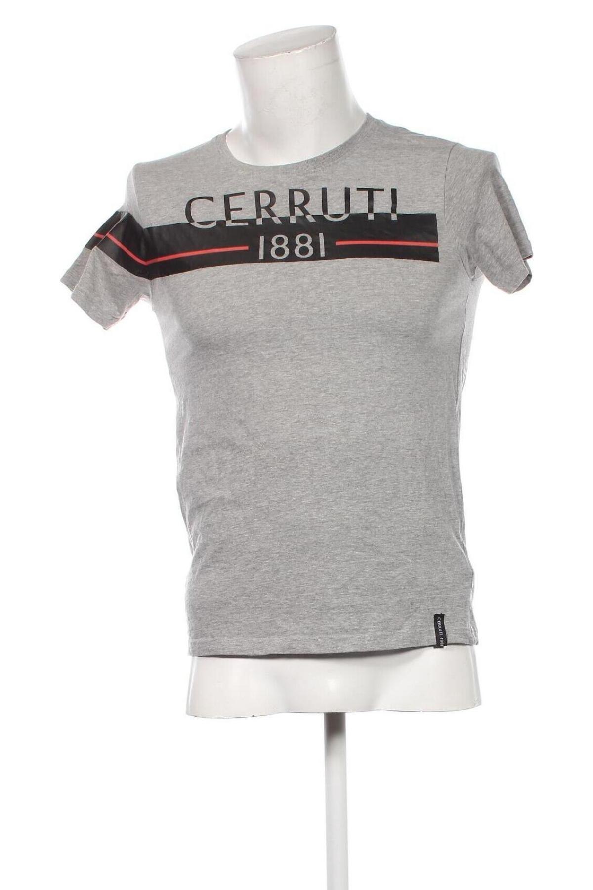 Herren T-Shirt, Größe S, Farbe Grau, Preis € 17,84