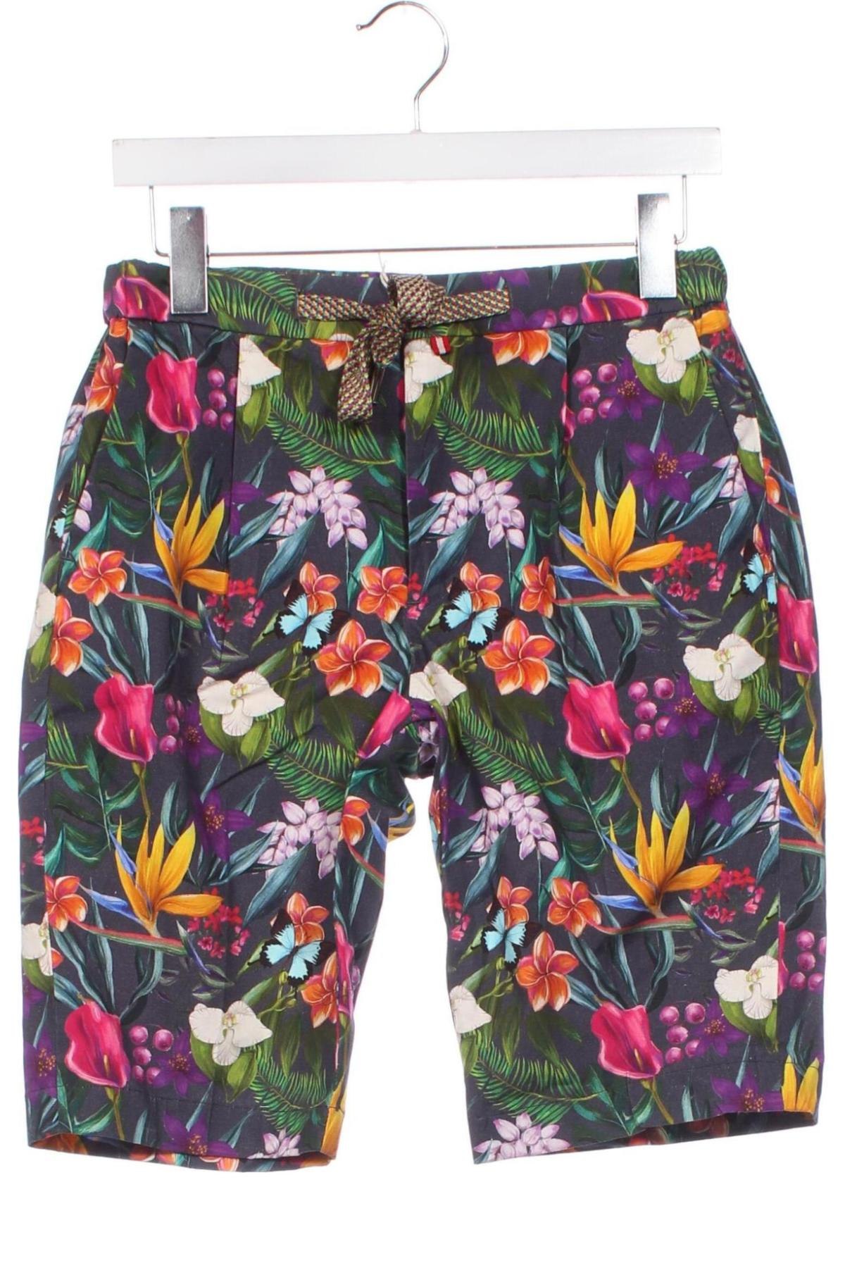 Pantaloni scurți de bărbați Baronio, Mărime S, Culoare Multicolor, Preț 186,99 Lei