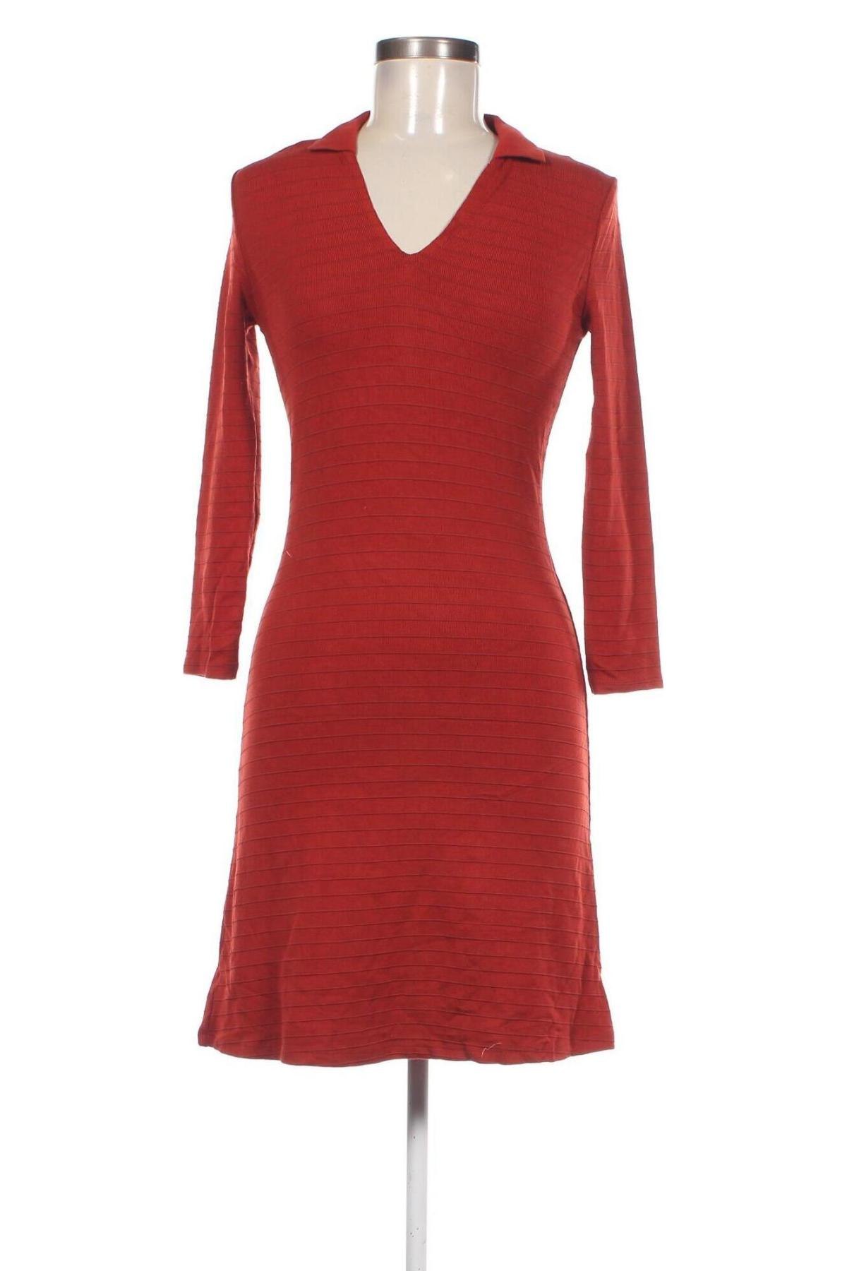 Kleid Mango, Größe XS, Farbe Rot, Preis 23,99 €