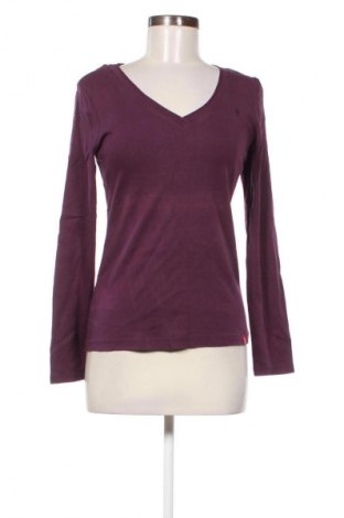 Dámska blúza Edc By Esprit, Veľkosť L, Farba Fialová, Cena  17,95 €