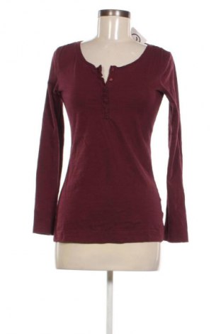 Damen Shirt Esprit, Größe L, Farbe Rot, Preis € 17,39