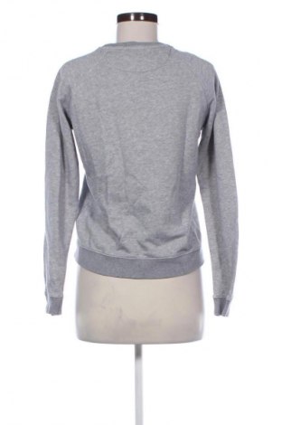 Damen Shirt Gant, Größe S, Farbe Mehrfarbig, Preis € 41,94