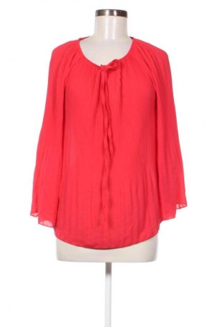 Damen Shirt Pittarello, Größe XXL, Farbe Rot, Preis € 10,00