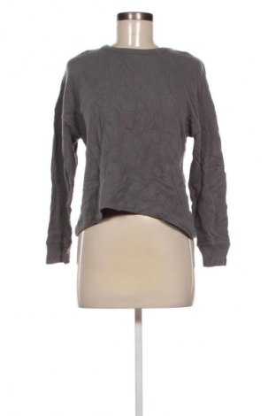 Damen Shirt Progetto Quid, Größe M, Farbe Grau, Preis € 23,99